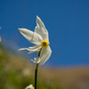 230509_dealul-narciselor-49