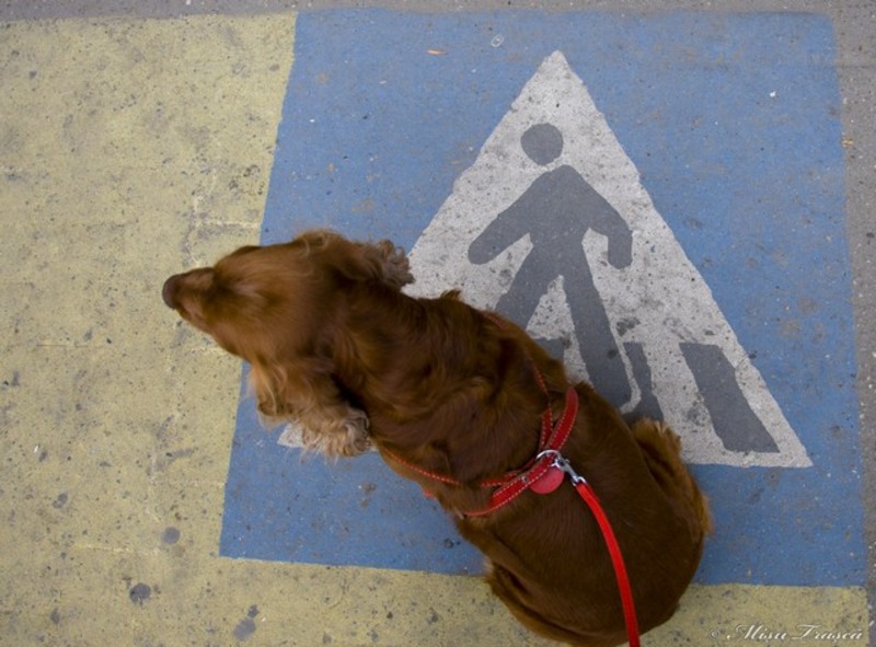 saptamana_a-xii-a_03