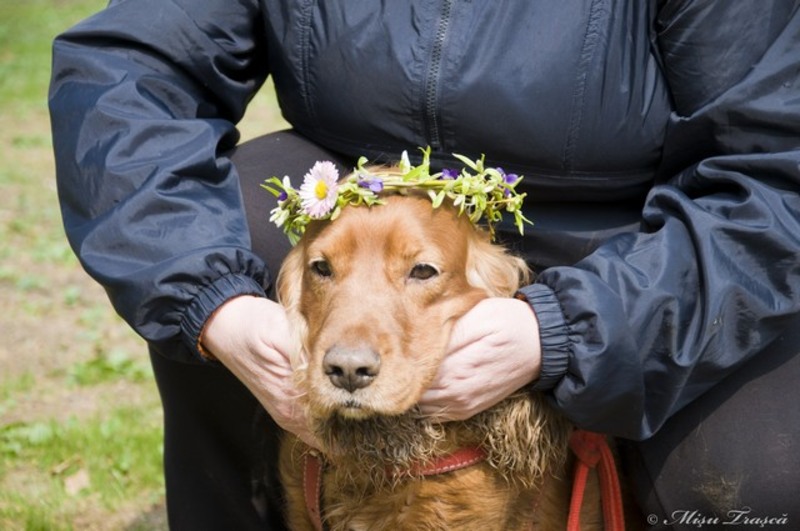 saptamana_a-xii-a_04