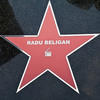 Steau maestrului Radu Beligan 
