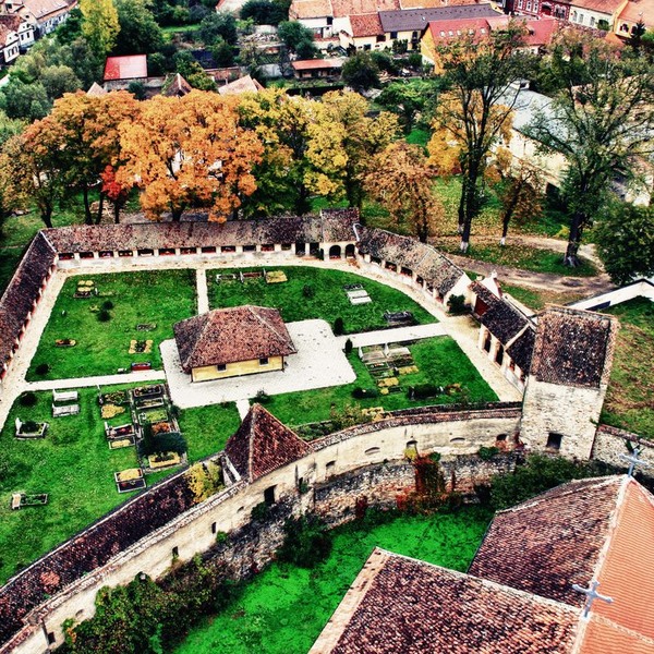 cristian-andrei-birsan-1