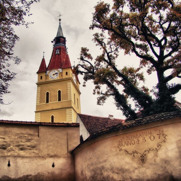 cristian-mihai-turturica-1