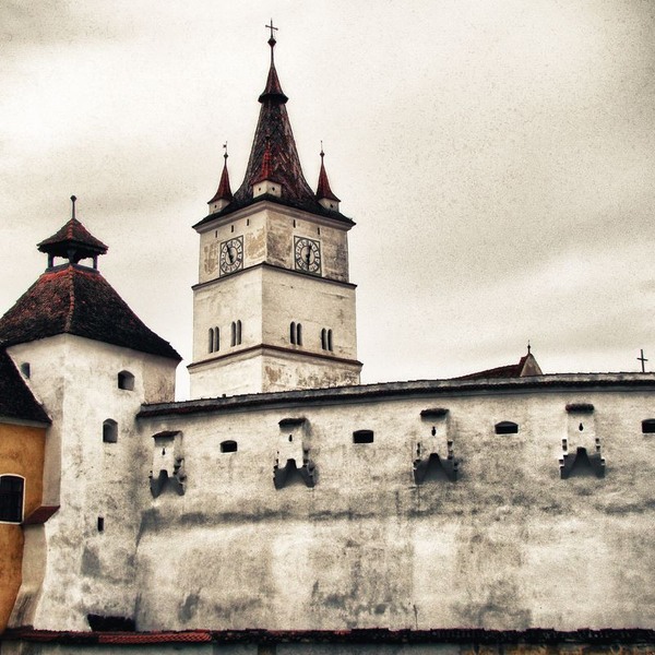 harman-mihai-turturica-1