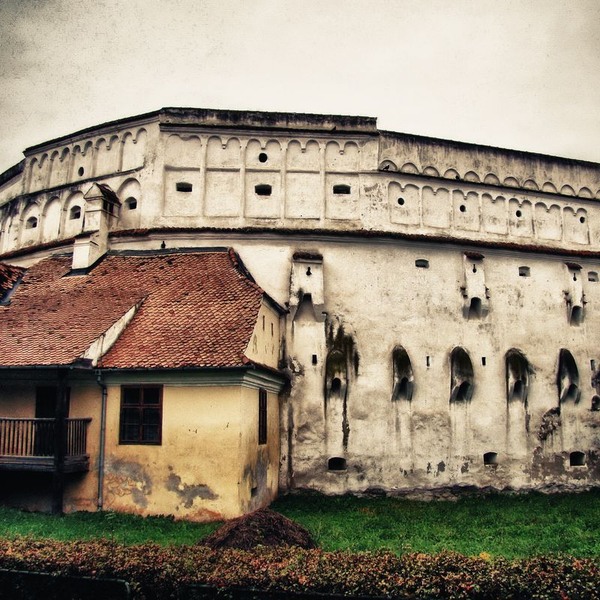 prejmer-mihai-turturica-1