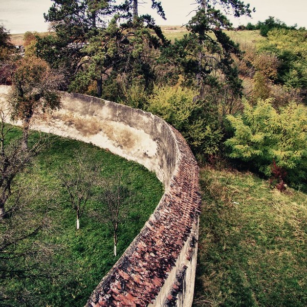 ungra-mihai-turturica-3