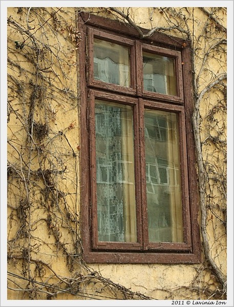 2aprilie2011_dscf7668