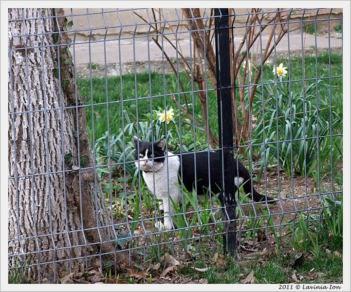 2aprilie2011_dscf7717