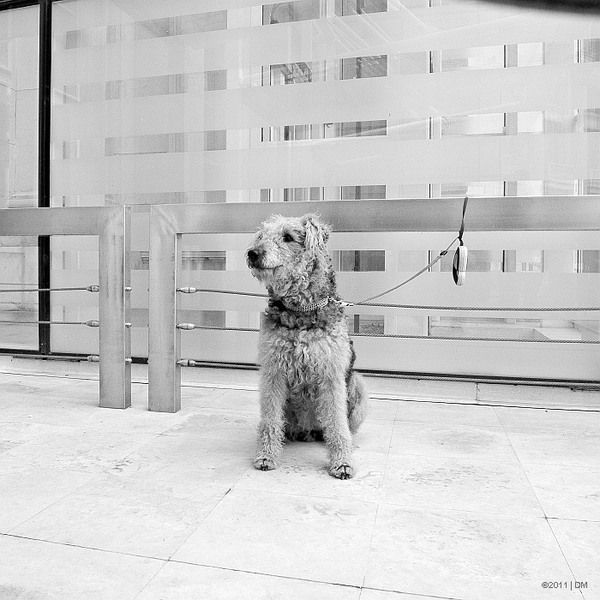 r0010768_edit_110402