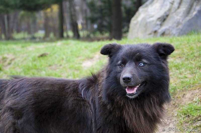 _saptamana_a-xiii-a_04