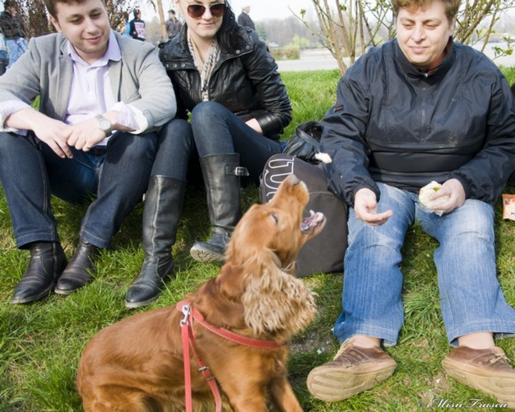 _saptamana_a-xiii-a_07