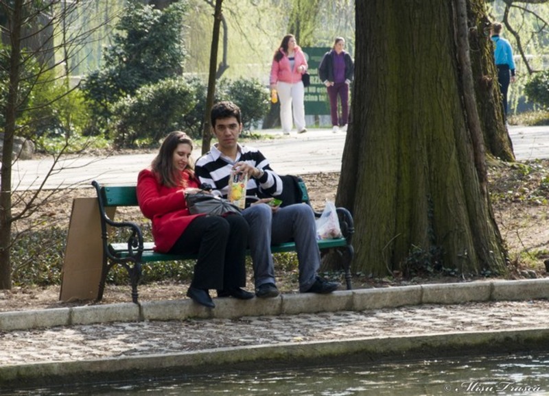 _saptamana_a-xiii-a_14