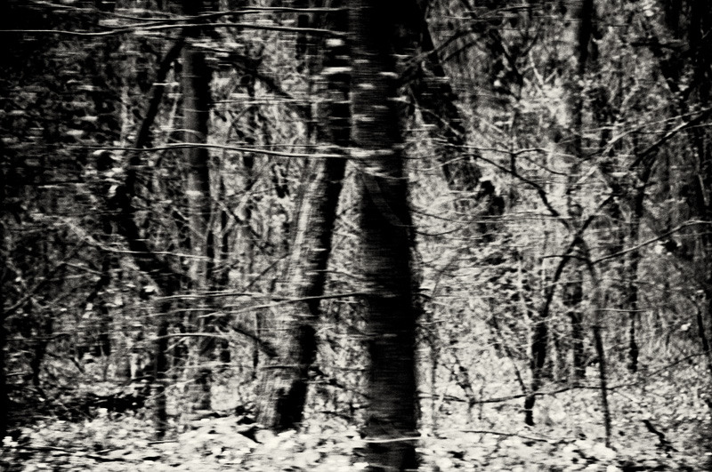 dungha_cauta_sa_nu_intelegi_dng2890