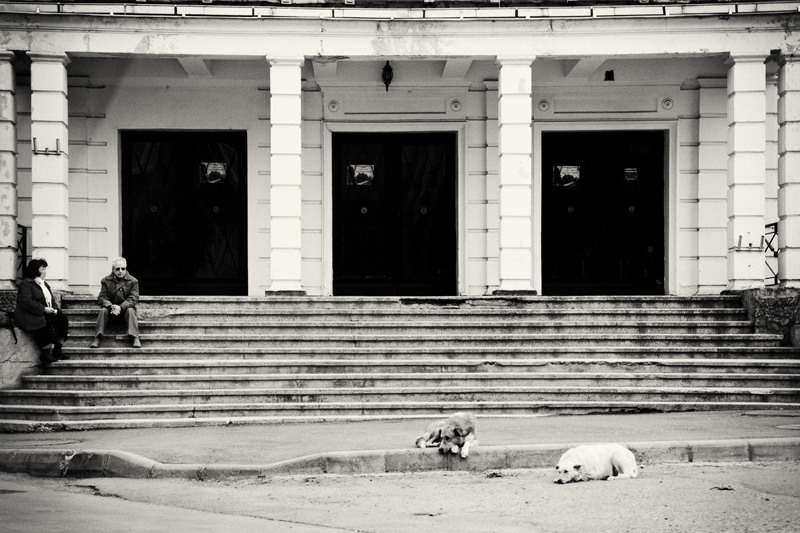 dungha_doi_oameni_ca_doi_caini_dng2937