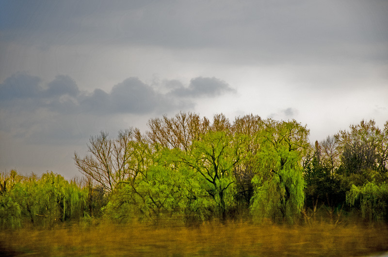 dungha_pastel_dng2985