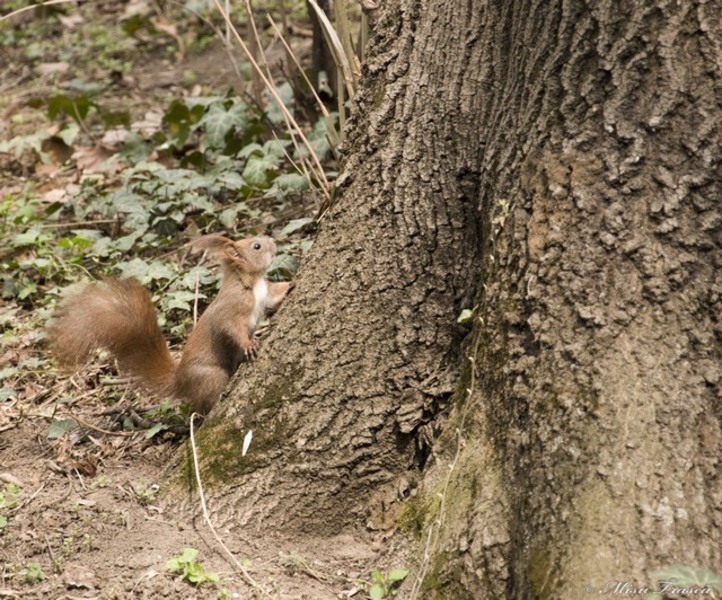 saptamana_a-xiii-a_10