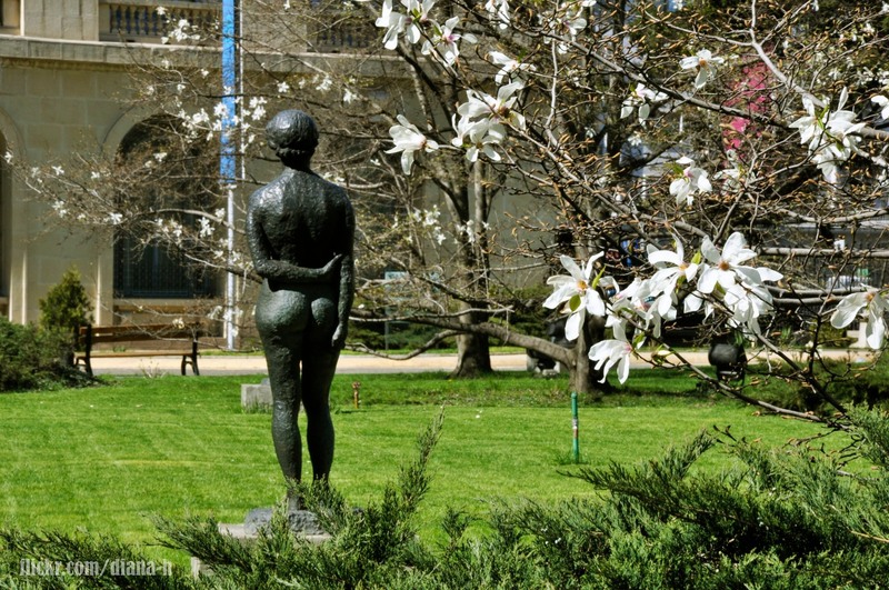 204653_215912768425352_100000198908338_954942_5857798_o