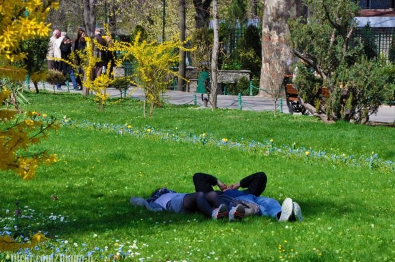 208779_215913091758653_100000198908338_954948_7352415_n