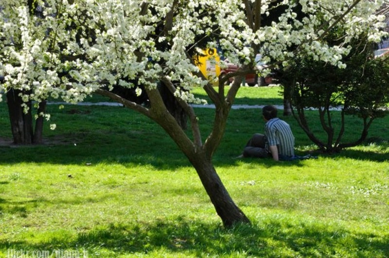 208779_215913095091986_100000198908338_954949_5133043_n