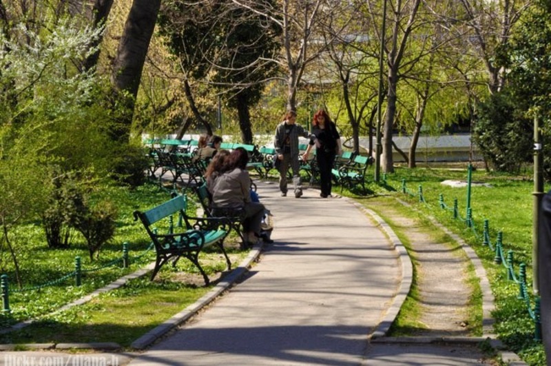 216068_215915108425118_100000198908338_954965_3858456_n