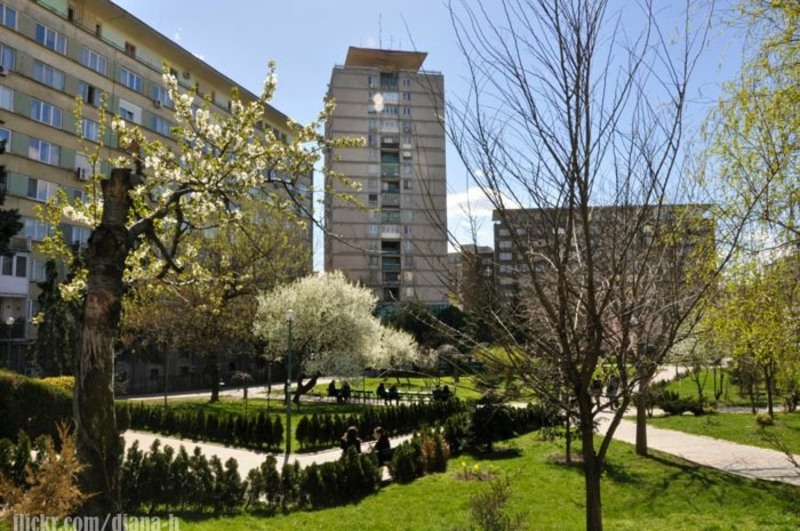 216444_215912771758685_100000198908338_954943_4330693_n