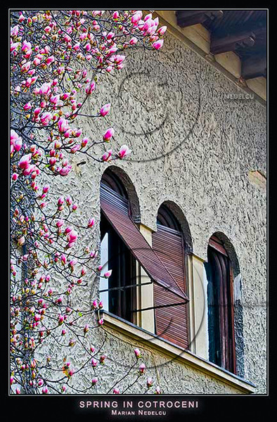 spring-in-cotroceni-2