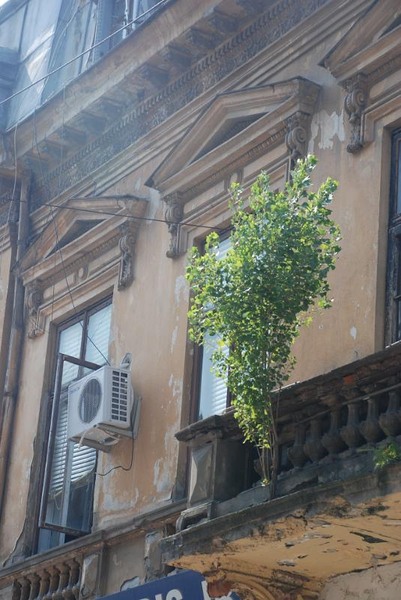 4-str-covaci-by-florijianu