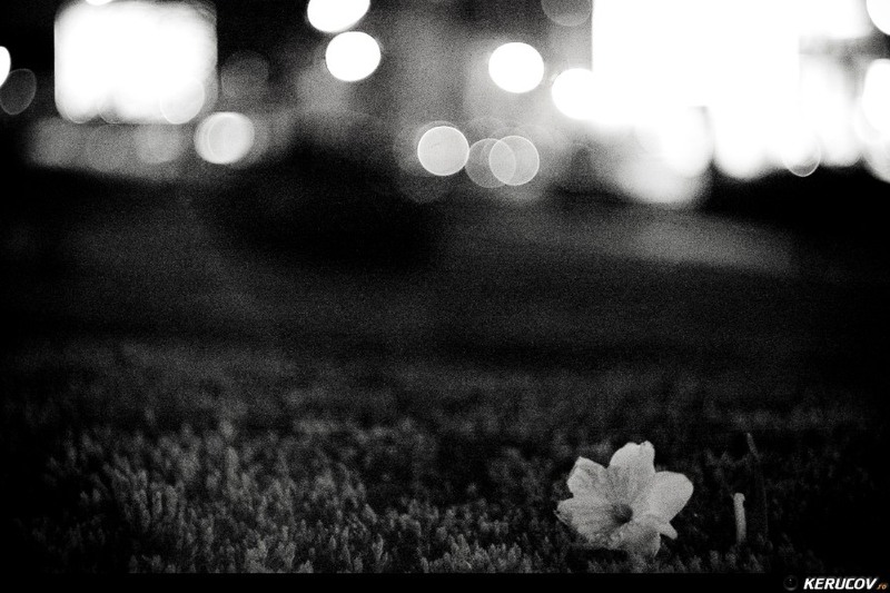 kerucov20110416_noaptea_in_bucuresti_iso1600_26