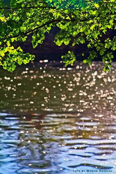 visul unei seri de primavara