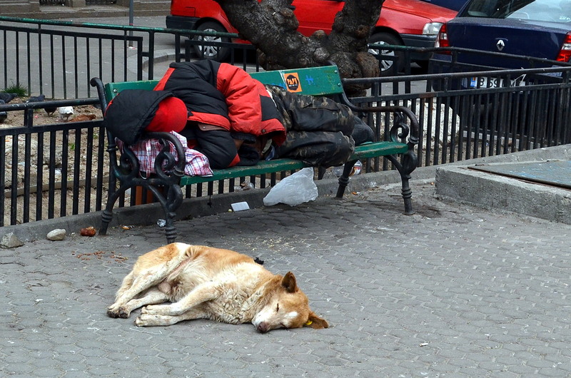 dsc_0184-somn-paralel