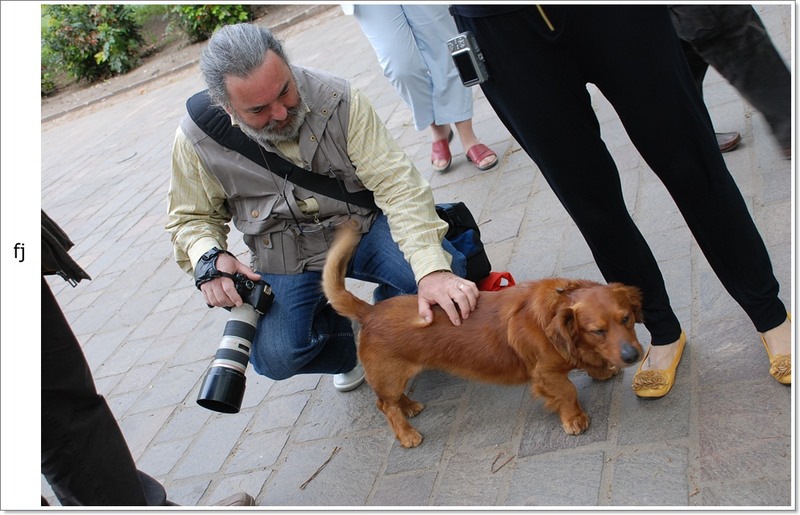 roberto-si-catelusul