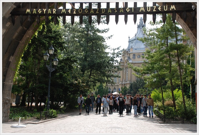 intrarea-in-castelul-asemanator-cu-cel-al-huniazilor-de-la-noi