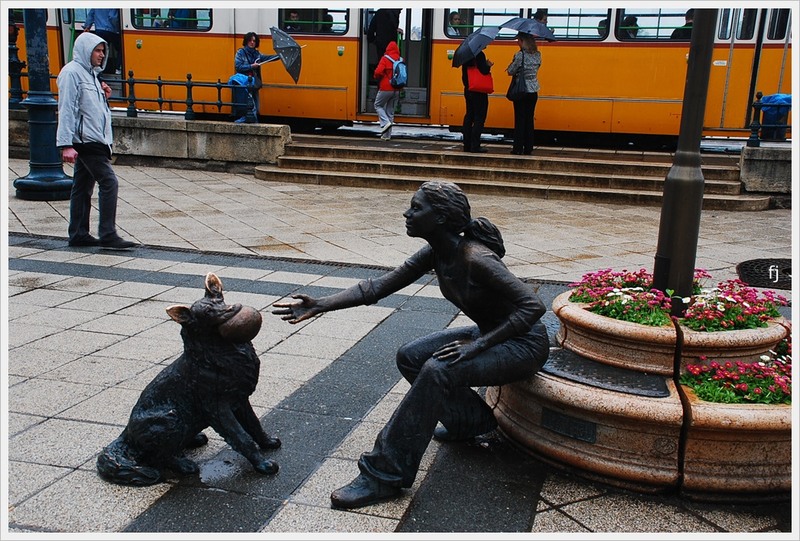 pe-malul-dunarii-pe-ponton