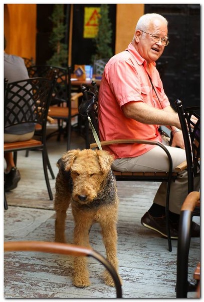 portret-de-alex-ds-32