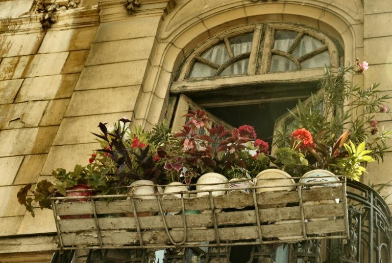 bacani_dianacretu_05