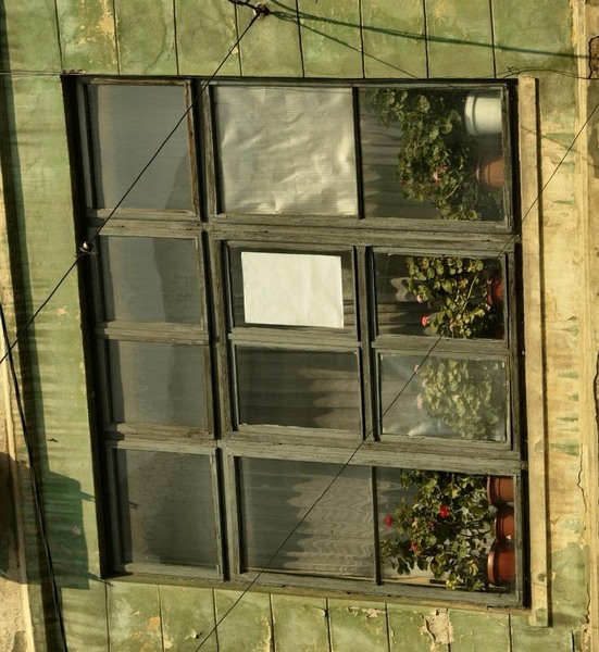 blanari_dianacretu_02