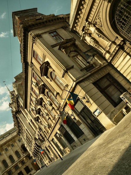 carada_dianacretu_01