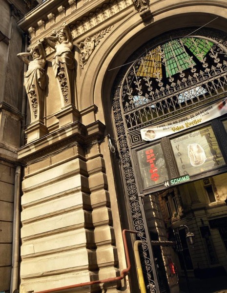 carada_dianacretu_02