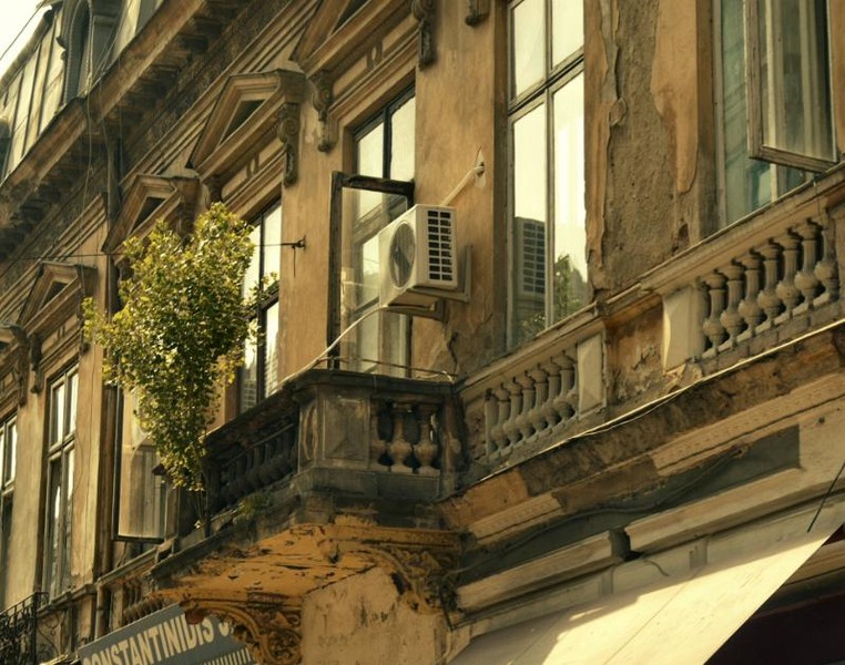 covaci_dianacretu_04