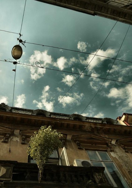 covaci_dianacretu_05