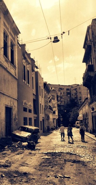 covaci_dianacretu_06