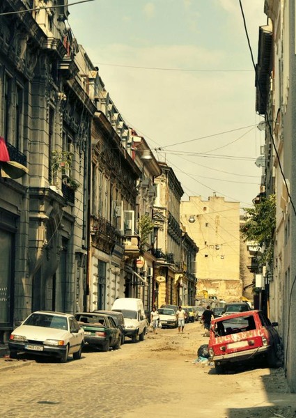 covaci_dianacretu_12