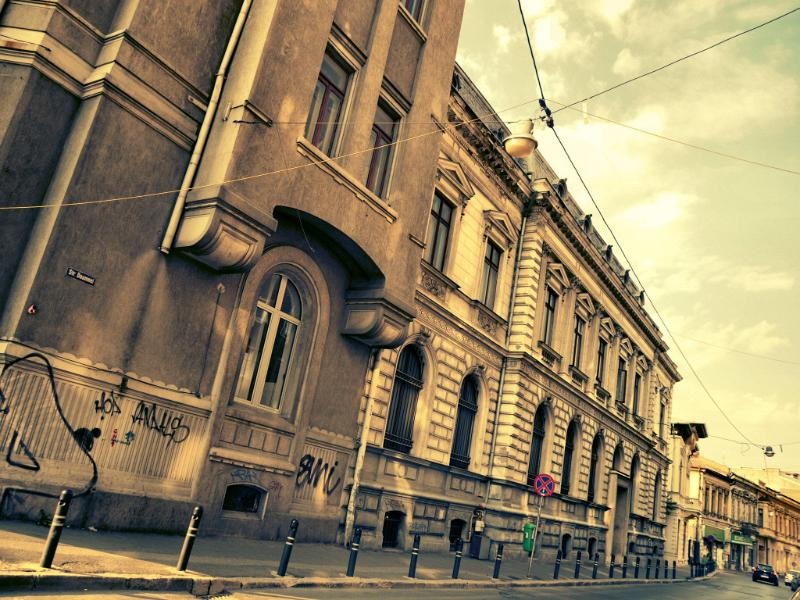 doamnei_dianacretu_01