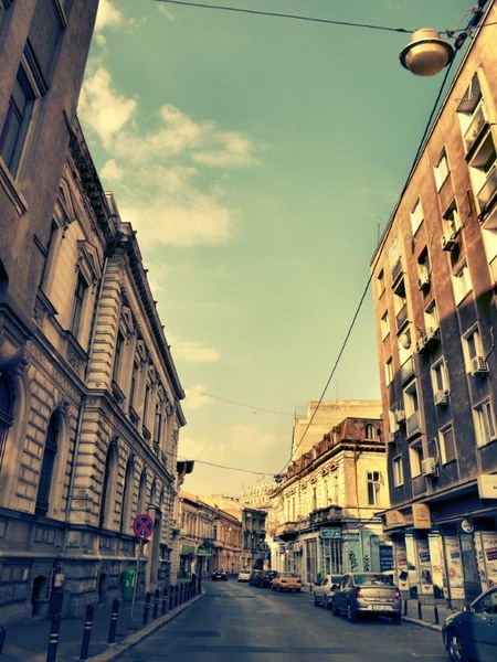 doamnei_dianacretu_02