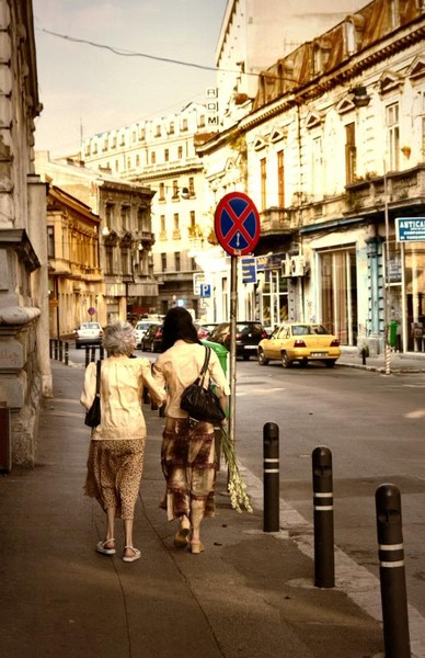 doamnei_dianacretu_04