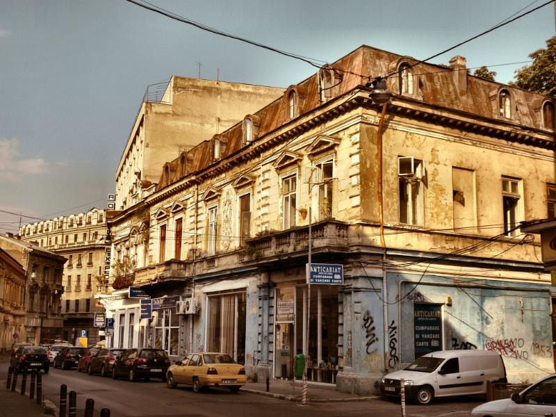 doamnei_dianacretu_06