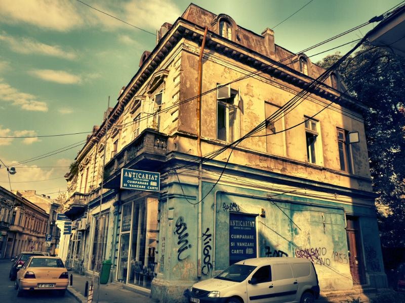 doamnei_dianacretu_08