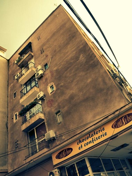 doamnei_dianacretu_10