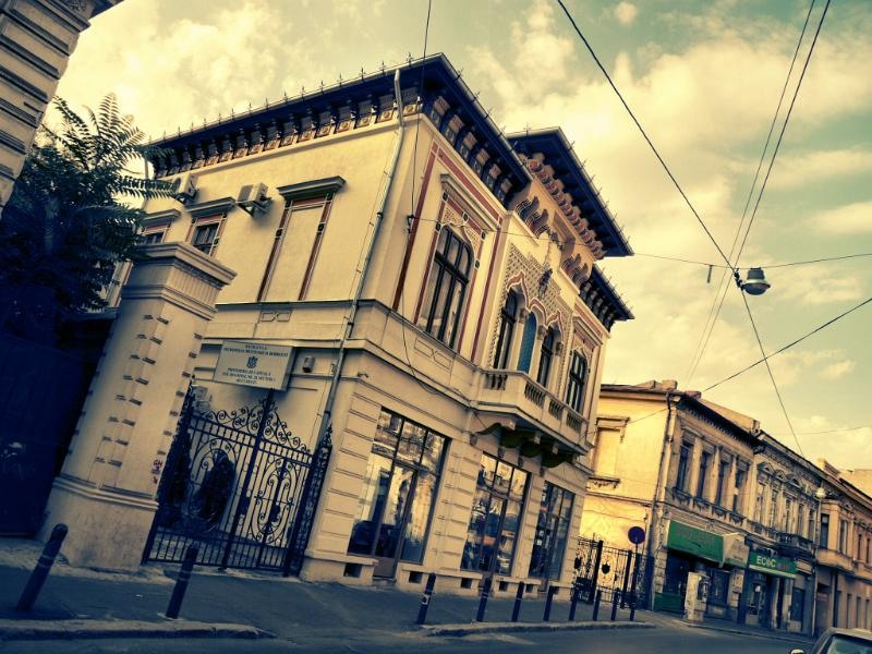 doamnei_dianacretu_12