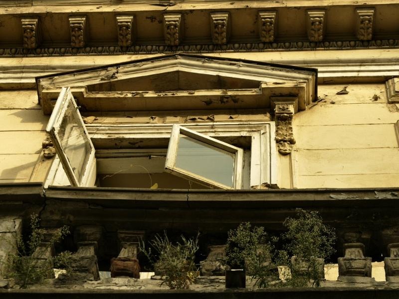 doamnei_dianacretu_13