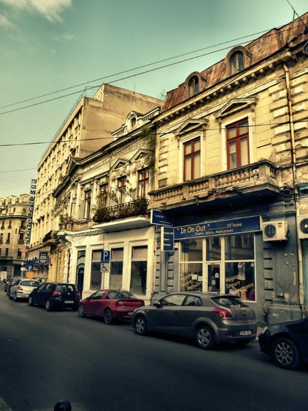 doamnei_dianacretu_16